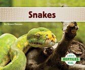 Reptiles - Snakes