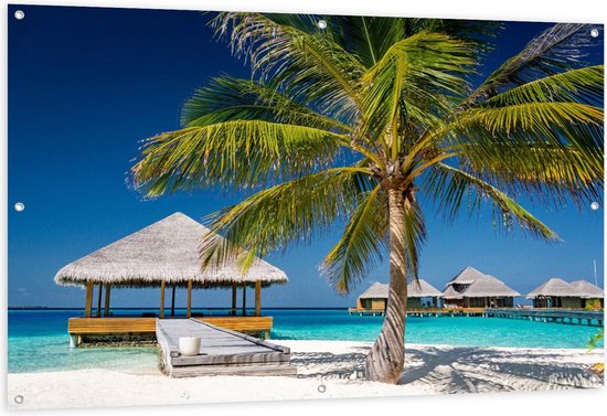 Tuinposter – Tropische Palmboom op het Strand - 150x100cm Foto op Tuinposter  (wanddecoratie voor buiten en binnen)