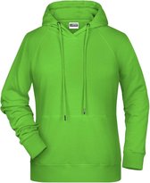 James and Nicholson Dames/dames Raglan Sleeved Hoodie (Kalk groen)