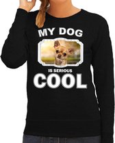 Chihuahua honden trui / sweater my dog is serious cool zwart - dames - Chihuahuas liefhebber cadeau sweaters L