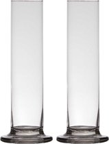 2x pièces transparent luxe élégant 1 vase à fleurs / vases en verre 25 x 6 cm - Rose avec vase Valentine pour l'intérieur