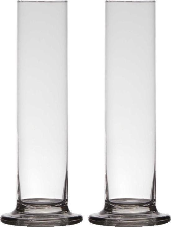 2x stuks transparante luxe stijlvolle 1 bloem vaas/vazen van glas 25 x 6 cm  - Roos met... | bol.com