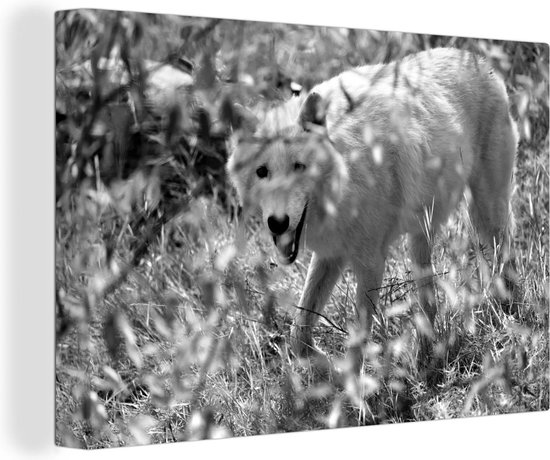 Canvas Schilderij Witte wolf in het gras in zwart-wit - 30x20 cm - Wanddecoratie