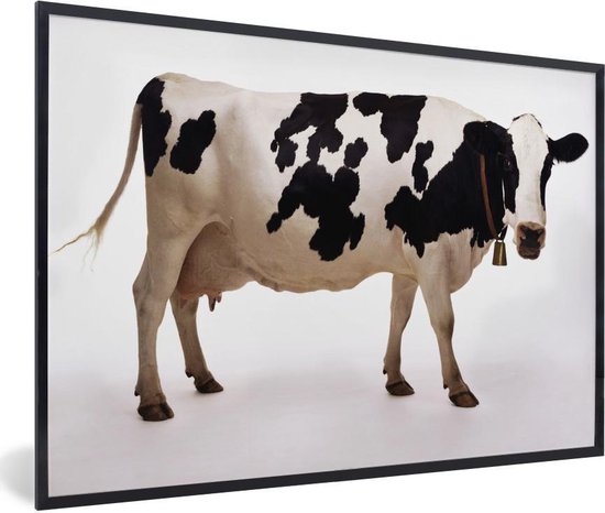 Photo en cadre - Vache avec une cloche sur fond blanc Cadre photo noir  sans... | bol.com
