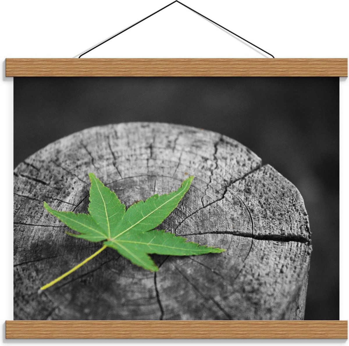 Schoolplaat – Groen Blad op Boomstam - 40x30cm Foto op Textielposter (Wanddecoratie op Sch