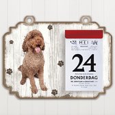 Scheurkalender 2023 Hond: Portugese Waterhond