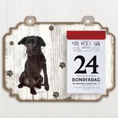 Scheurkalender 2023 Hond - Markiesje