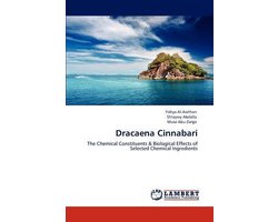 Dracaena Cinnabari