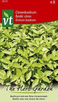 Buzzy® Basilicum Citroen Zaden - Aromatische Basilicum met een Verfrissende Citroensmaak
