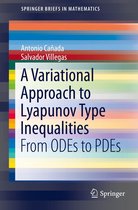SpringerBriefs in Mathematics - A Variational Approach to Lyapunov Type Inequalities