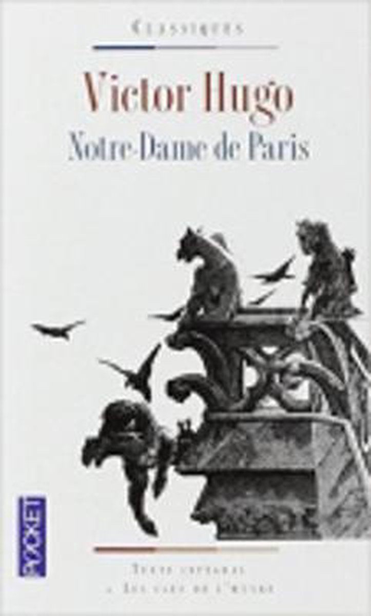 Omslag van Notre Dame de Paris