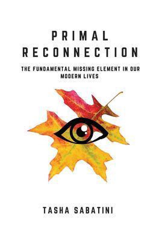 Primal Reconnection - cover