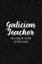 Galician Teacher Like a Regular Teacher But Way Cooler