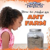Step-by-Step Projects - How to Make an Ant Farm