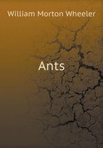 Ants