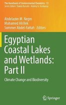 Egyptian Coastal Lakes and Wetlands: Part II