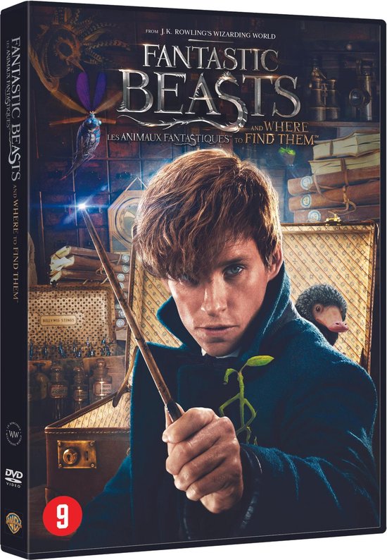 Harry Potter - L'intégrale / Les animaux fantastiques (9 DVD