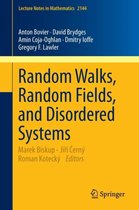 Random Walks Random Fields and Disordered Systems