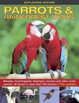 Parrots & Rainforest Birds