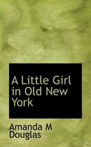 A Little Girl in Old New York