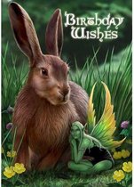 Anne Stokes Verjaardagskaar Hare and Sprite