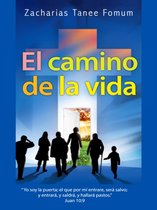 Del camino Cristiano 1 - El Camino de la Vida