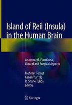 Island of Reil Insula in the Human Brain