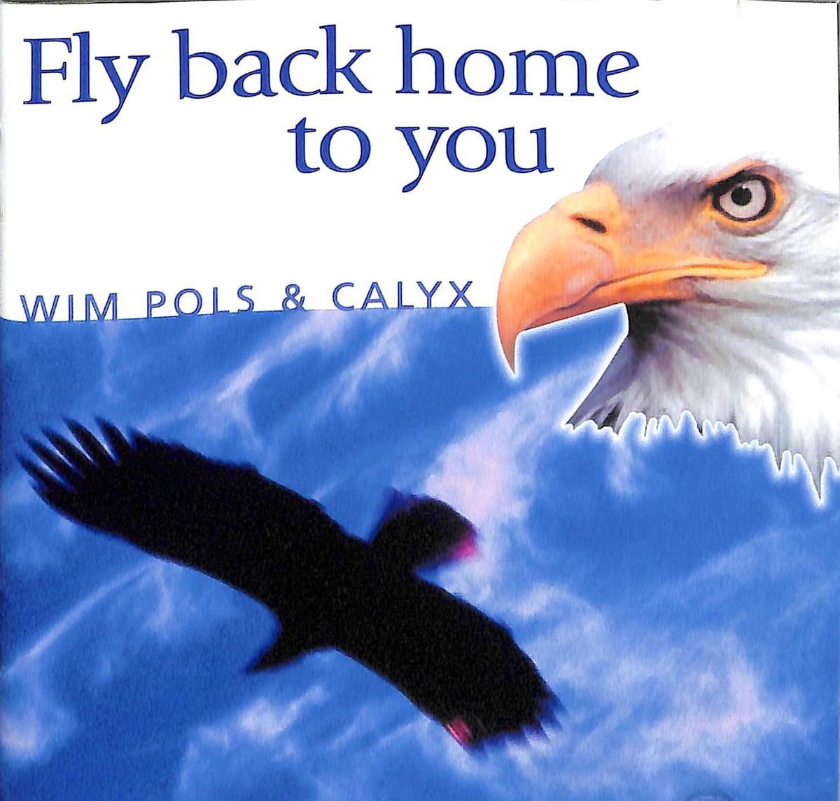 Fly back home to you, Wim Pols CD (album) Muziek
