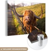 MuchoWow® Peinture sur verre 150x100 cm - Peinture sur verre acrylique - Highlander écossais - Clôture - Herbe - Photo sur verre - Peintures