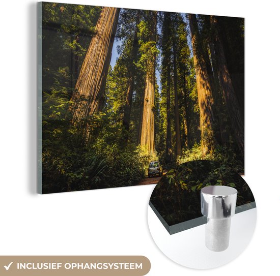 MuchoWow® Glasschilderij 30x20 cm - Schilderij acrylglas - Een auto tussen de Redwood bomen - Foto op glas - Schilderijen