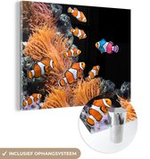 MuchoWow® Glasschilderij 40x30 cm - Schilderij acrylglas - Vis - Zwart - Koraal - Foto op glas - Schilderijen