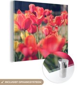 MuchoWow® Glasschilderij 20x20 cm - Schilderij acrylglas - Tulpen - Bloemen - Natuur - Foto op glas - Schilderijen