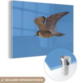 MuchoWow® Glasschilderij 30x20 cm - Schilderij acrylglas - Valk - Lucht - Vleugels - Foto op glas - Schilderijen
