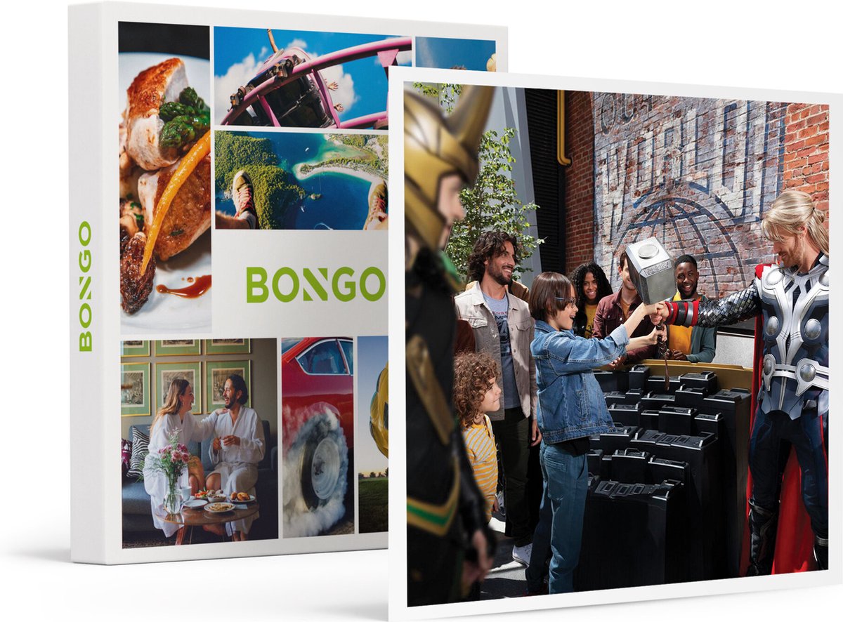 Bongo Bon - Disneyland® Paris: Low-tickets Voor 2 Personen En 2 Kinderen (1 Park) - Cadeaukaart