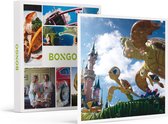 Bongo Bon - DISNEYLAND® PARIS: ECO WINTER-TICKET VOOR 1 KIND (1 PARK) - Cadeaukaart cadeau voor man of vrouw
