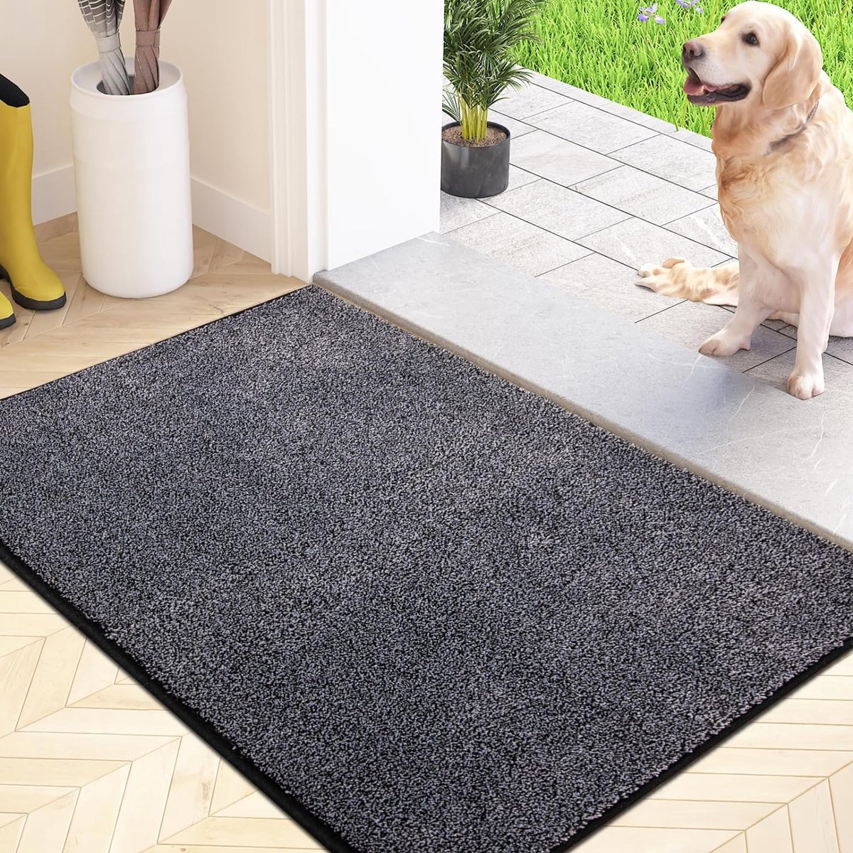 Tapis Entree Interieur Antidérapant 50 x 80 cm, Absorbant Paillasson  Interieur Entree, Tapis d'entrée Lavable en Machine, Tapis de Porte pour  Entrée, Jardin, Chiens - Marron Foncé