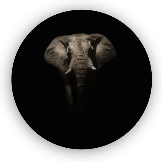 Olifant in het donker - Schilderij olifant - Olifanten - Zwart wit schilderij - Glasschilderij olifant - Muurdecoratie plexiglas - 75 x 75 cm 5mm