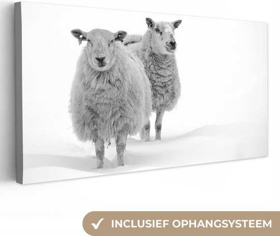 Toile Peinture Mouton - Neige - Wit - 40x20 cm - Décoration murale