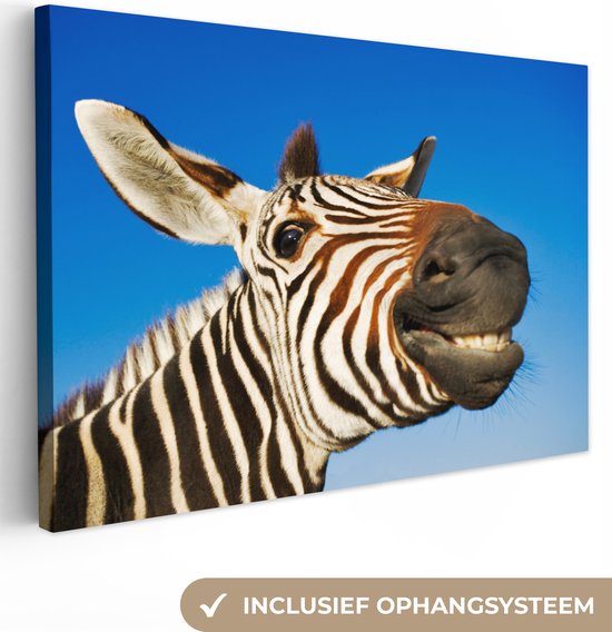 Une drôle de toile de zèbre grimaçant 140x90 cm - Tirage photo sur toile (Décoration murale salon / chambre)
