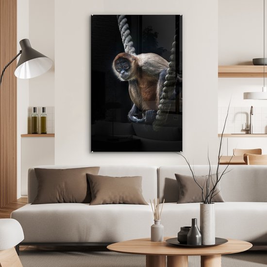 MuchoWow® Peinture sur verre 80x120 cm - Peinture sur verre acrylique - Un singe araignée est assis sur une corde avec un fond noir - Photo sur verre - Peintures