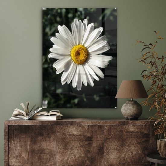 MuchoWow® Peinture sur Verre - Marguerite - 60x80 cm - Peintures sur Verre Acrylique - Photo sur Glas