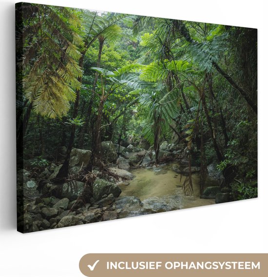 Canvas Schilderij Riviertje in tropische jungle - 60x40 cm - Wanddecoratie