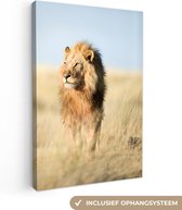 Canvas Schilderij Close-up lopende leeuw - 40x60 cm - Wanddecoratie