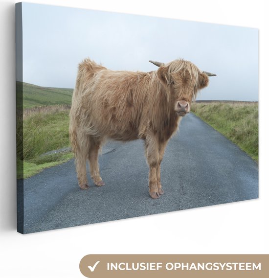 Tableau sur toile Scottish Highlander - Route - Herbe - 30x20 cm - Décoration murale