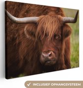 Tableau sur toile Scottish Highlander - Oranje - Animaux - 160x120 cm - Décoration murale XXL