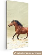 Canvas Schilderij Paard - Stof - Zand - 20x40 cm - Wanddecoratie