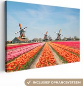 Peinture sur toile Tulipes - Moulin à vent - Pays- Nederland - 60x40 cm - Décoration murale