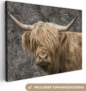 Wereldkaart - Dieren - Schotse hooglander - Canvas - 40x30 cm - Wanddecoratie