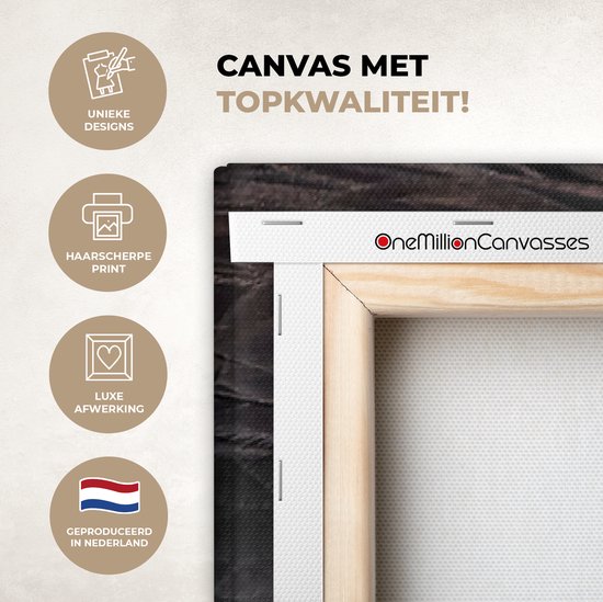 Tableau Toile Aigle - Vogel - Bec - Yeux - 160x80 cm - Décoration murale