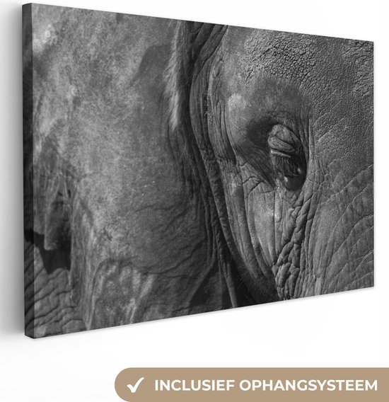 Canvas Schilderij Olifant - Dieren - Close up - Zwart wit - 60x40 cm - Wanddecoratie